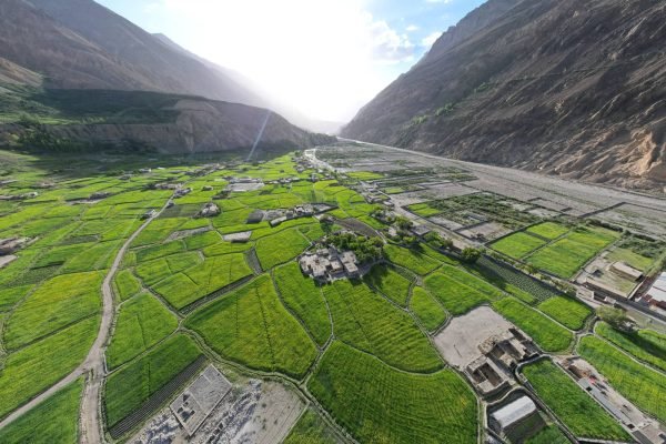 DJI_0950